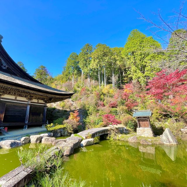 Zensui-ji: Miracles on Mount Iwane