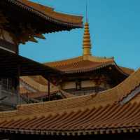 清照寺 🌸🏯和風古寺的心靈寄託🙏🍃