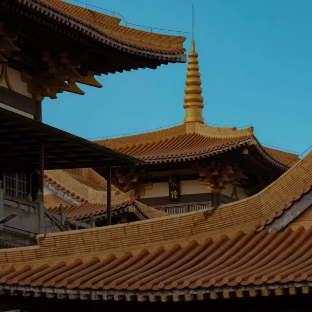 清照寺 🌸🏯和風古寺的心靈寄託🙏🍃