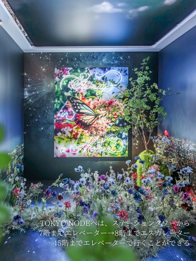 【東京都/虎ノ門】時が溶ける！？この冬最もアツイ展示会