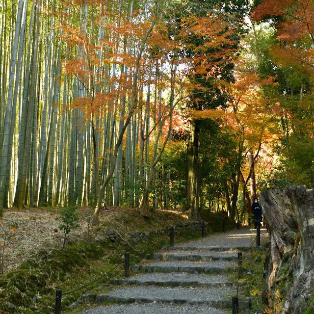 地藏院：南投埔里鎮佛教寺院，禪林和圖書館
