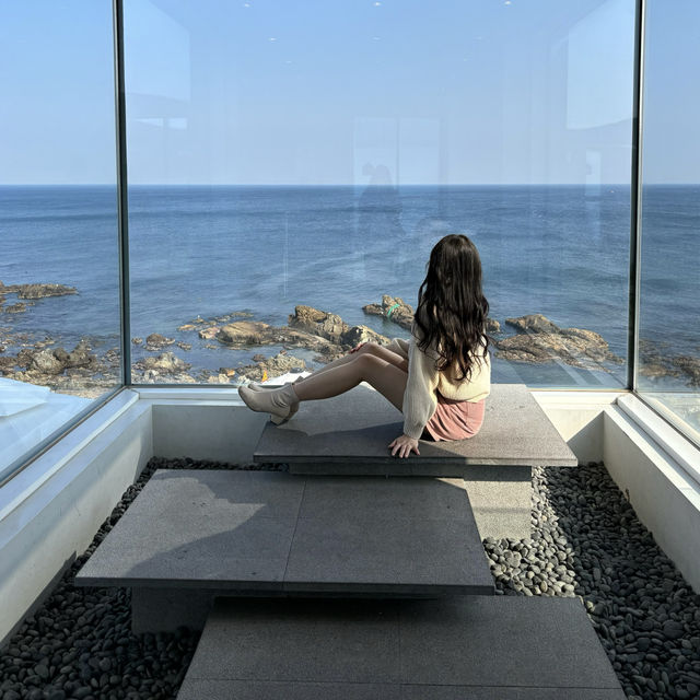 통창 포토존이 있는 감성카페 포항 [어스피스]🌊