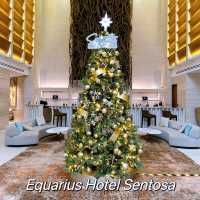 Enchanting Christmas Trees Across the City