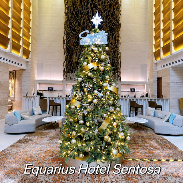 Enchanting Christmas Trees Across the City