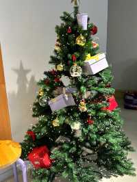 크리스마스 트리가 있는 감성카페 대구 [도우프커피]🎄