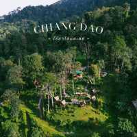 ไร่ชาโฮมสเตย์🌿 ความธรรมดาที่แสนพิเศษ
