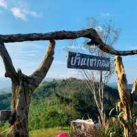 #thailand @พิปูนนครศรีธรรมราช 