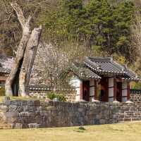 Government House (도강영당)