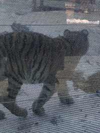 首爾出發首爾大公園一日遊❣️親子活動必到🤓市區親親大自然