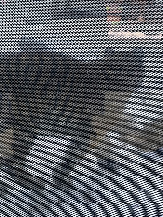 首爾出發首爾大公園一日遊❣️親子活動必到🤓市區親親大自然