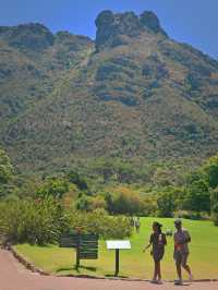 Kirstenbosch National Botanical ปลูกได้ที่เดียว