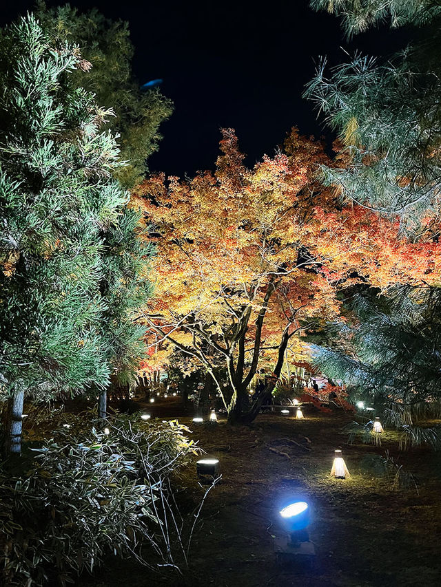 京都景點｜嵐山寶嚴院之夜楓