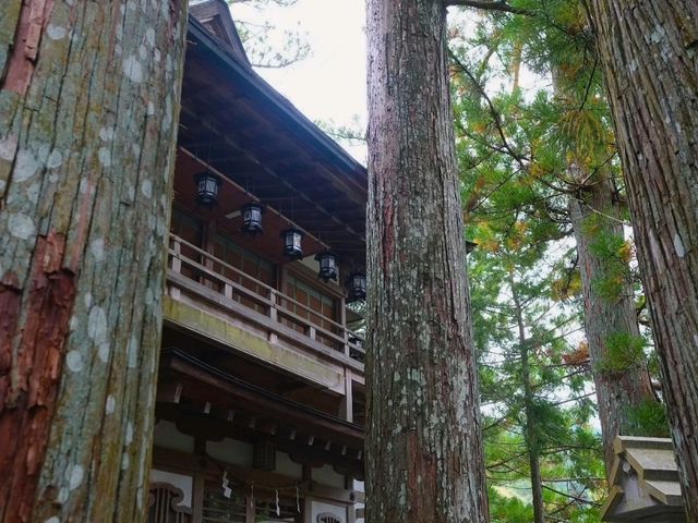 【天川の社寺】（奈良県天川村　旧国名：大和）