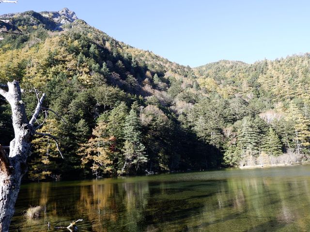 「明神池：穗高神社奧宮內的寧靜湖泊」