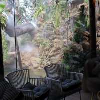 Grid Garden Cafe คาเฟ่ในหมอกกลางเมืองจันทบุรี