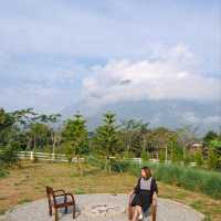 🩵ฤดูภูเขา 🌳เชียงดาว🌳     
