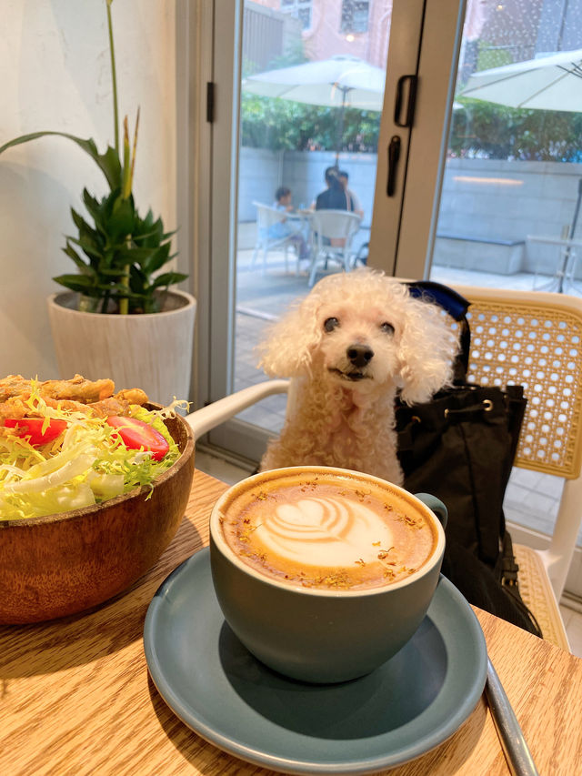 西營盤☕️不籽是咖啡 
