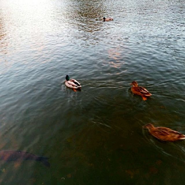 @ THE OLYMPIAPARK, MUNICH.