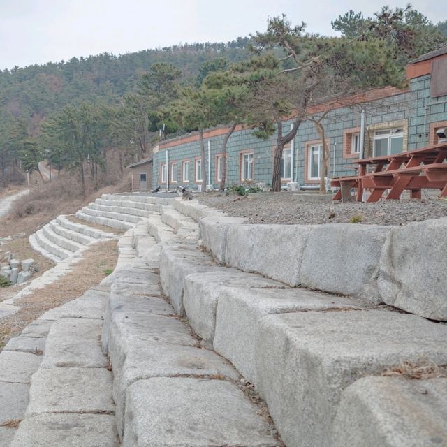 겨울꽃 동백과 바다가 아름다운 지장대사