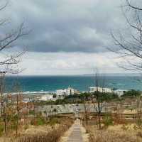 산 정상 위에 배를 만나볼 수 있는, 사방 기념공원