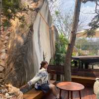 🏞️Cha nha pha ชาหน้าผา คาเฟ่ลับเขาใหญ่ 