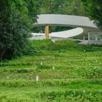 【臺北景點】和林公園～大自然的親密交流