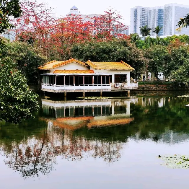 荔枝公園