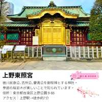 【上野東照宮/東京都】五重塔と桜が美しい神社