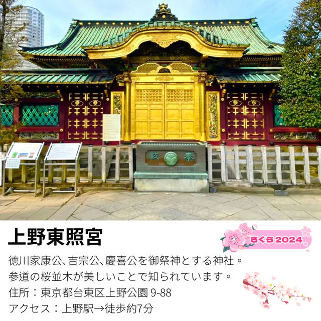 【上野東照宮/東京都】五重塔と桜が美しい神社
