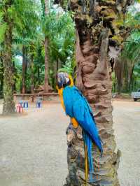 Krabi Elephant Shelter (Sanctuary)