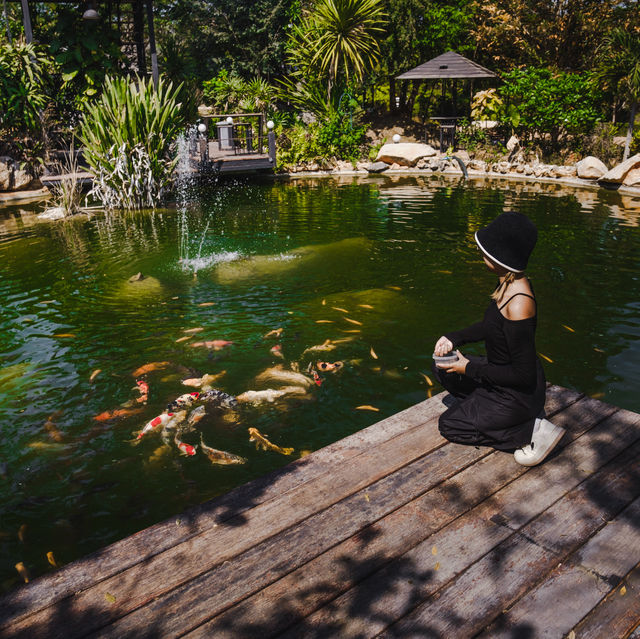นอนพูลวิลล่าปากช่อง บ้านสวย มีกิจกรรมให้ทำเพียบ