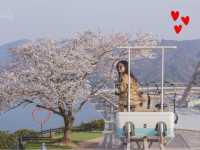 จุดชมวิว Amanohashidate View Land