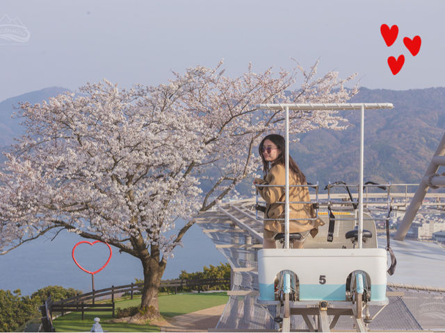 จุดชมวิว Amanohashidate View Land