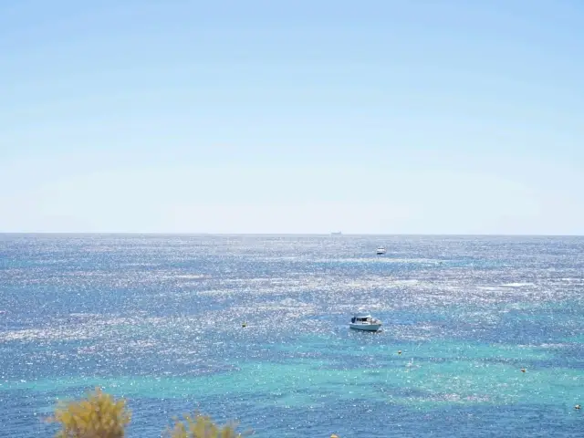 보석같이 찬란한 바다, 그리고 쿼카! 로트네스트 아일랜드 🏝