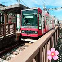 東京賞櫻季節期間限定的「都電櫻花號」賞櫻列車