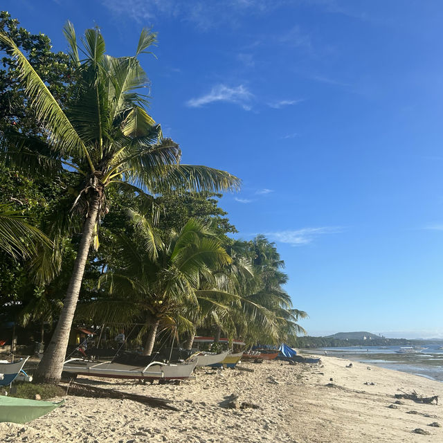 보홀 발리카삭 & 아이솔라 🏝️
