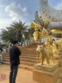 แวะไหว้พระที่วัดแม่ย่าซอม 