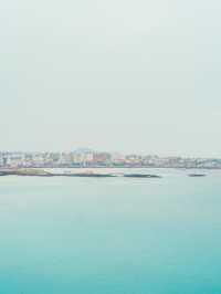 🌼제주 동쪽 유채+바다+노을 명소 [서우봉]☀️