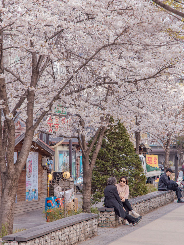 Gyeongui Line Forest Park จุดชมพ็อตกตย่านฮงแด