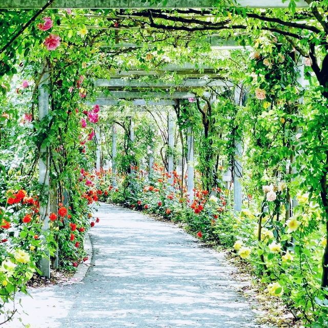 우리들의 공원 우에노 공원 🏞