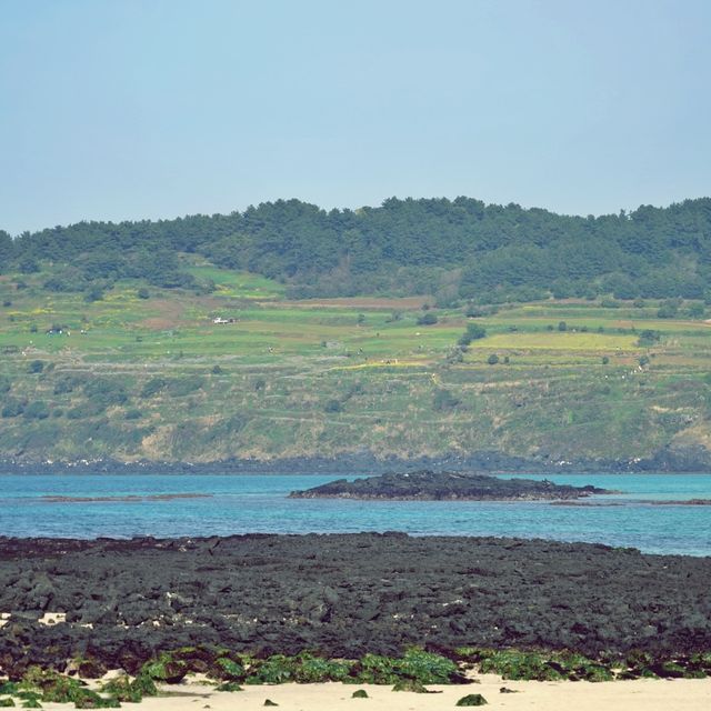 🌊 함덕해변, 제주도의 푸른 보석