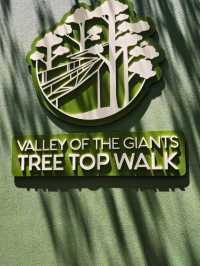 Valley of the Giants Tree Top Walk