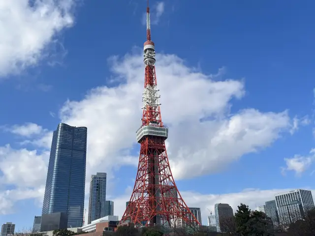 東京タワーが綺麗に見える芝公園🗼