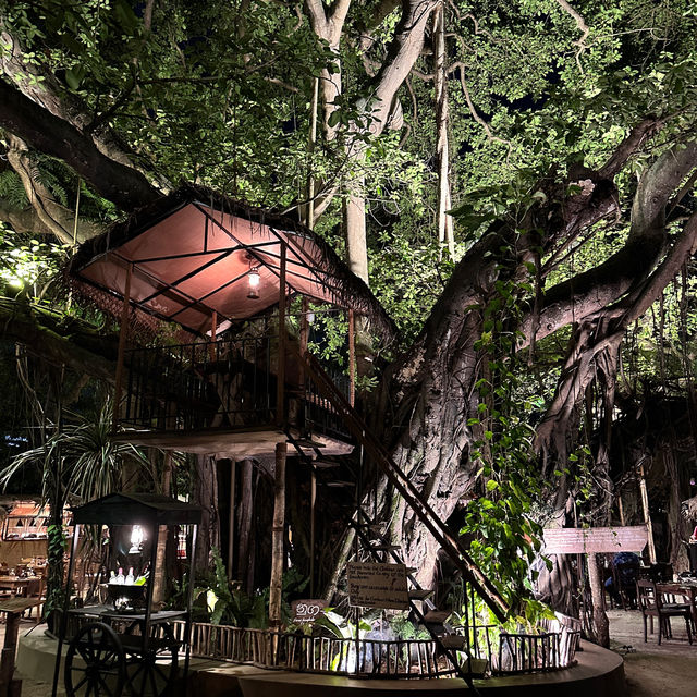 Dining under the grand Banyan Tree