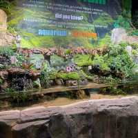 Exploring the Wonders of Aquaria KLCC 