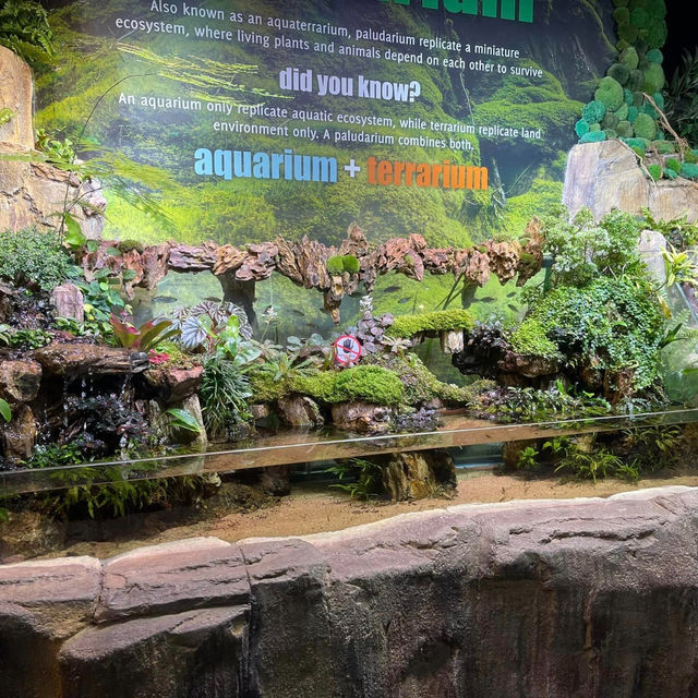 Exploring the Wonders of Aquaria KLCC 
