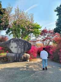 4월 전남에서 가장 핫한 봄여행코스🌸