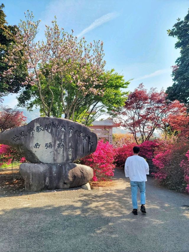 4월 전남에서 가장 핫한 봄여행코스🌸