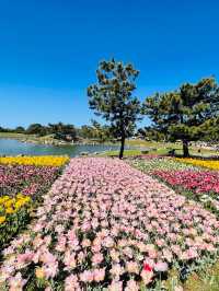 Uminonakamichi Seaside Park 