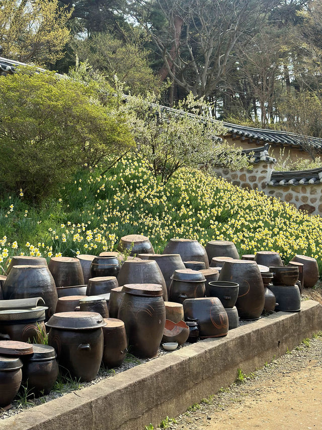 수선화를 볼 수 있는 유기방가옥 🌼